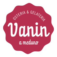 Vanin Logo